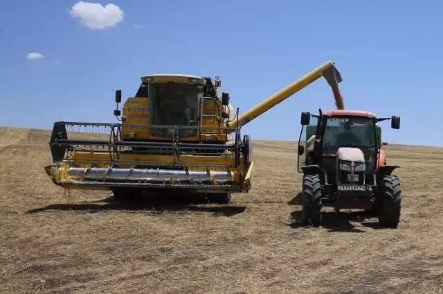 Diyarbakır'da 9 kişinin ölümüne neden olan tarlada hasat, barış heyeti gözetiminde başladı