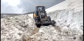 Kars'ta 2 bin 600 rakımlı yaylanın yolu açıldı