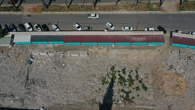 Deprem bölgesinde konteynerler arasında kabak, ayçiçeği ve nohut filizlendi