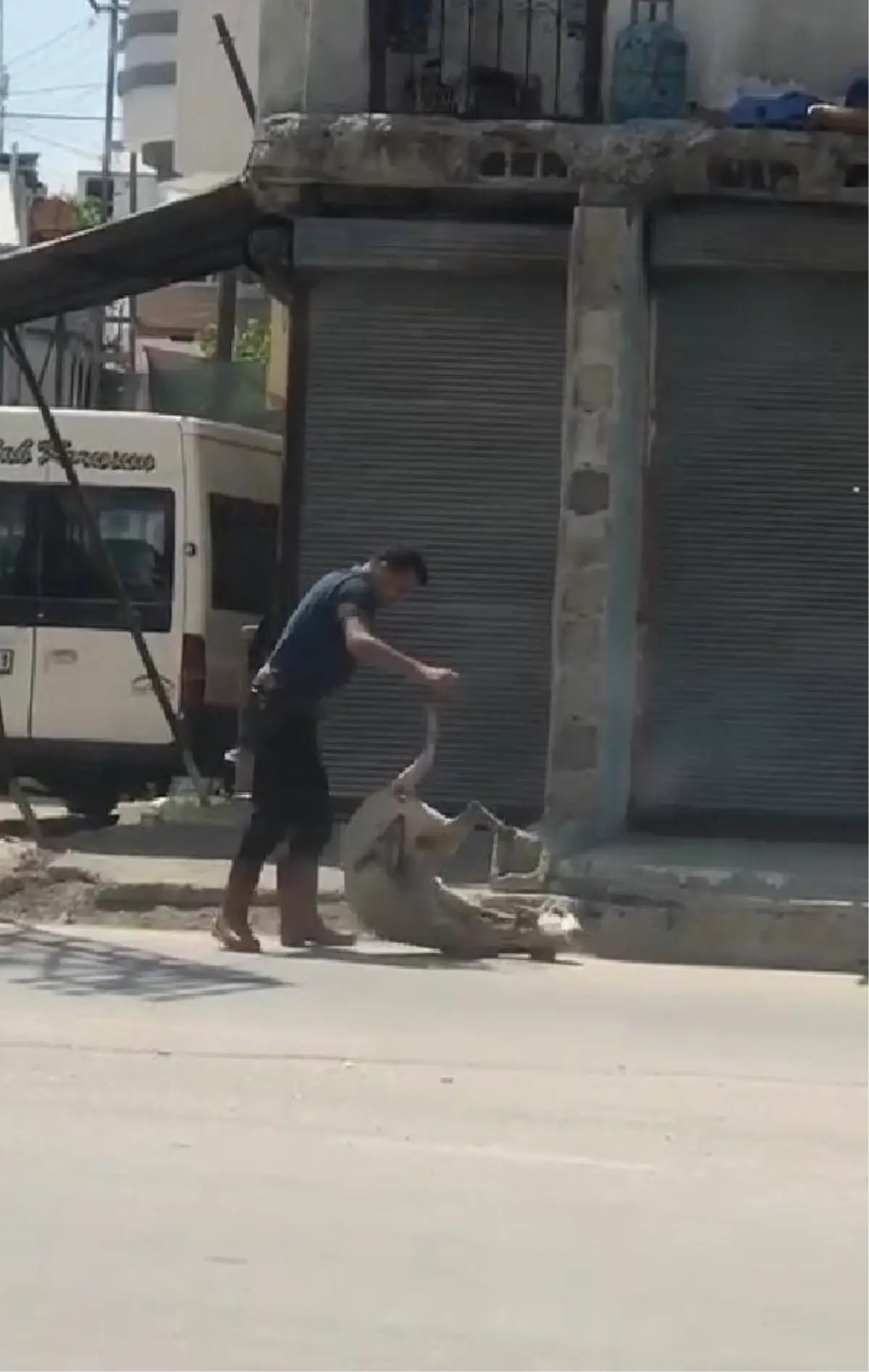 Adana'da koyuna şiddet uygulayan kişi, cep telefonu kamerasına yakalandı