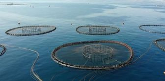 Türkiye Kültür Balıkçılığı 2022'de Üretim Rekoru Kırdı