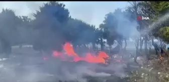 Kuşadası'nda denize 50 metre uzaklıkta çıkan arazi yangınında sabotaj iddiası