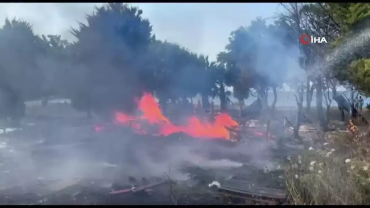 Kuşadası'nda denize 50 metre uzaklıkta çıkan arazi yangınında sabotaj iddiası