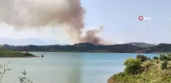 Adana'da orman yangını: Havadan ve karadan müdahale başladı