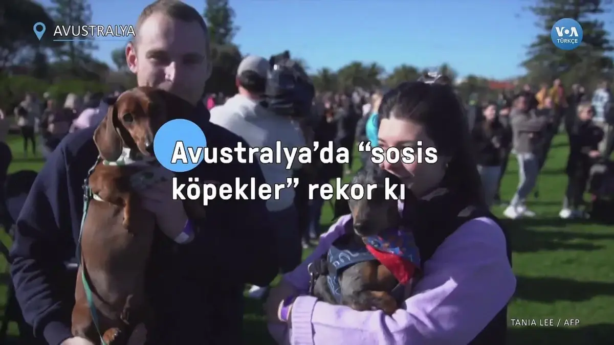 Avustralya'da 'sosis köpekler' rekor kırdı