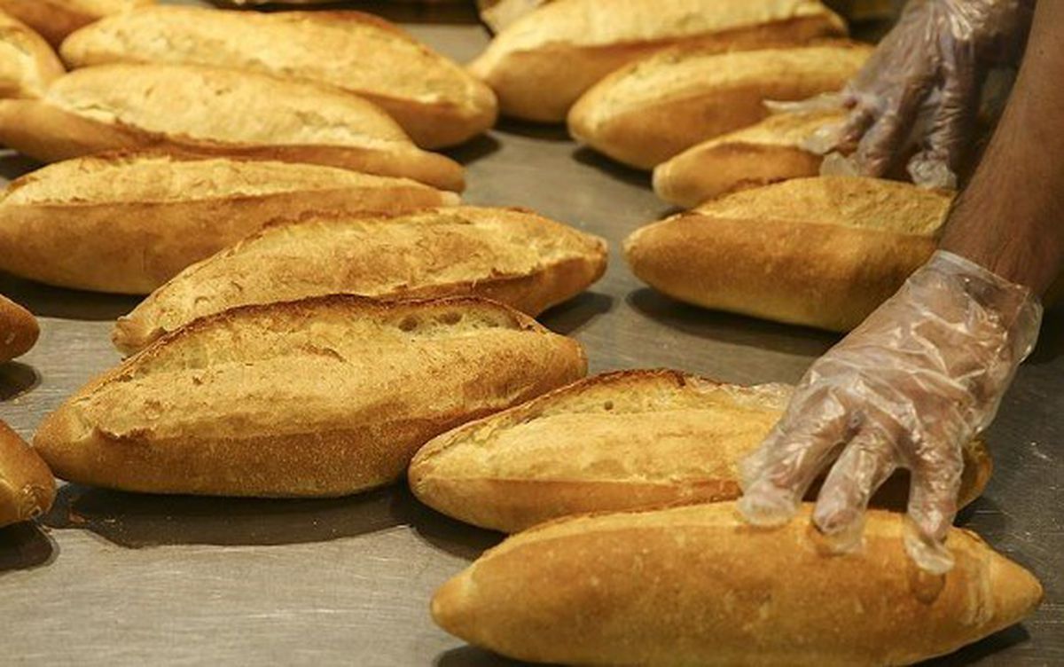 Ekmek 10 lira mı olacak? Fırıncılar Federasyonu Başkanı yanıtladı!