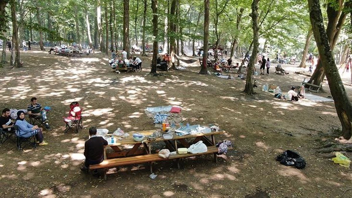 Son Dakika: İstanbul'da yangınların önlenmesi amacıyla bazı piknik ve mesire alanları dışında ormanlık alanlara girişler yasaklandı