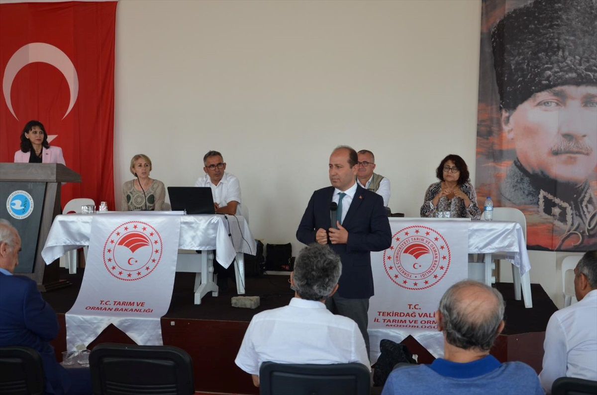 Şarköy'de Zeytincilik Sorunları Toplantısı Düzenlendi