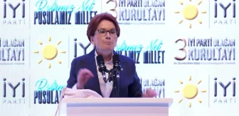 Meral Akşener İYİ Parti'nin 3. Olağan Kurultayı'nda yeniden genel başkan seçildi