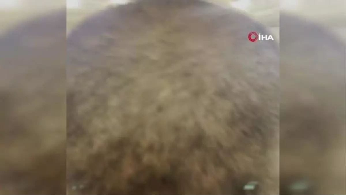 Beytullah'a yüz sürmek hacıların en büyük hayali
