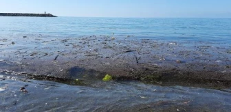 Doğu Karadeniz'de sağanaklarla birlikte derelere sürüklenen çöpler Karadeniz kıyılarını kirletiyor