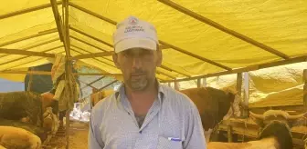 Kurbanlık satışları İstanbul'da yoğun ilgi görüyor