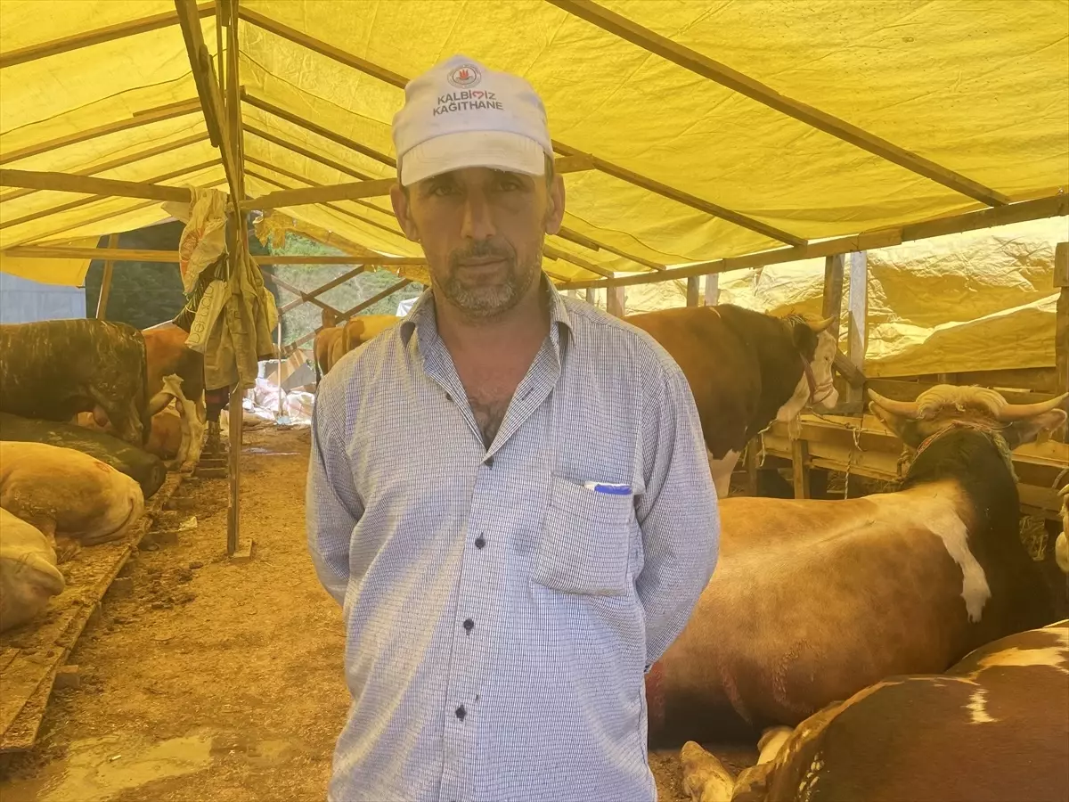 Kurbanlık satışları İstanbul'da yoğun ilgi görüyor