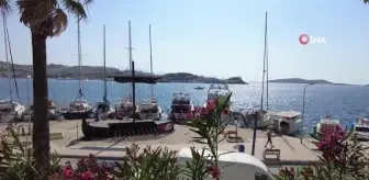 Foça Kurban Bayramı'na hazır