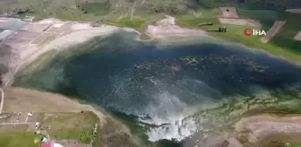 Kuraklık Geride Kaldı, Bingöl Gölü Misafirlerini Bekliyor