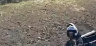 Motosikletli Kurye Kanguruda Olan Bebeği Göğsüne Asarak Trafikte İlerledi