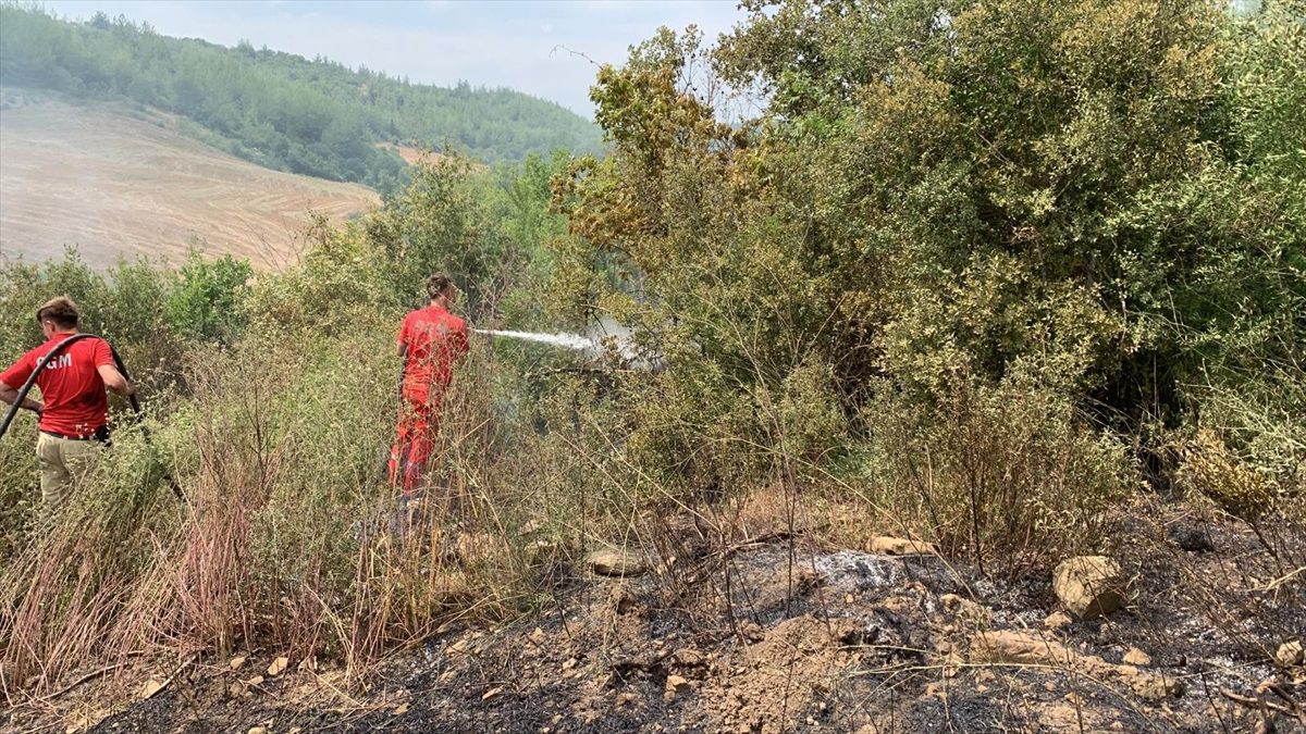 Adana'da çıkan orman yangını söndürüldü