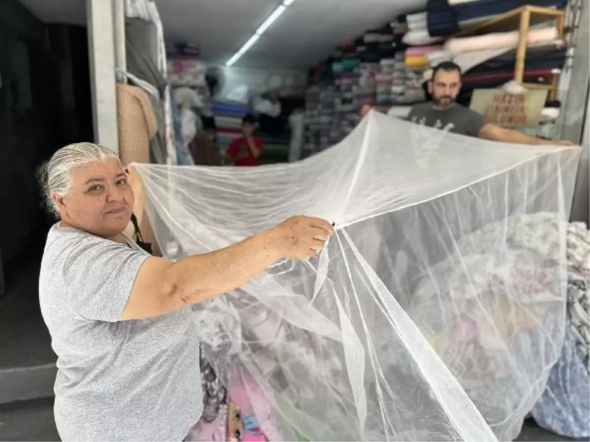 Sineklerin Çoğalmasıyla Cibinlik Satışları Arttı