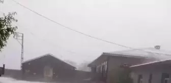 KARS'ta Dolu Yağışı Tarım Arazilerine Zarar Verdi