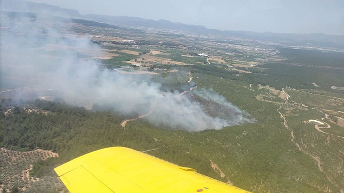 İzmir'de orman yangını! Ekipler hem karadan hem havadan müdahale ile kontrol altına aldı