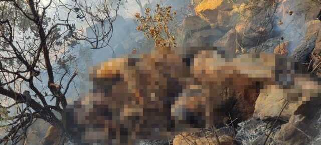 Marmaris yangınında ölü bulunan şahsın son görüntüleri ortaya çıktı
