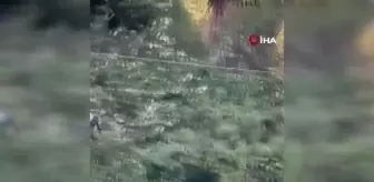 Meksika'da zipline kazası: 6 yaşındaki çocuk 12 metre yükseklikten göle düştü