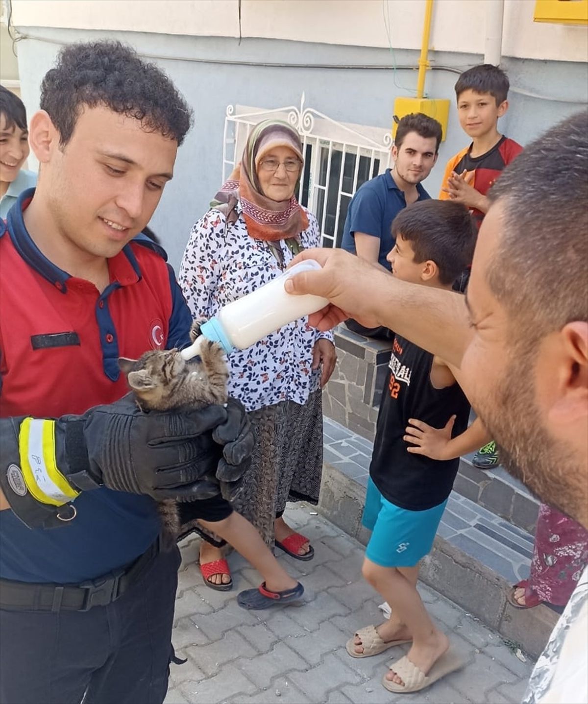 Ünye'de mahsur kalan yavru kedi ve sıkışan 4 yavru baykuş itfaiye ekiplerince kurtarıldı