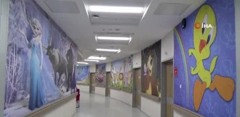 Bayburt Devlet Hastanesi çocuk servisi duvarları çizgi film karakterleriyle donatıldı