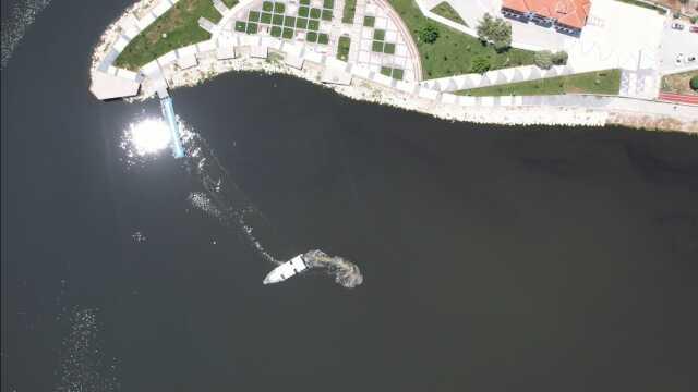 Burası da Ankara'nın denizi! Yılda 400 ton balık çok sayıda ülkeye ihraç ediliyor