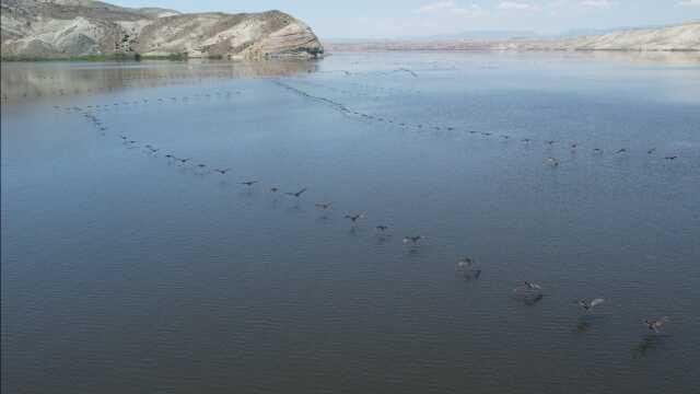 Burası da Ankara'nın denizi! Yılda 400 ton balık çok sayıda ülkeye ihraç ediliyor