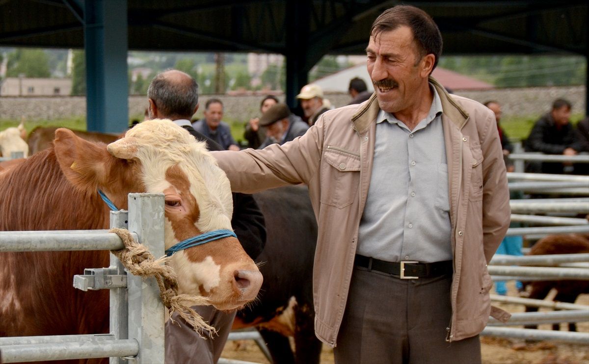 Doğu Anadolu'da Kurban Bayramı öncesi trafik denetimleri yapıldı