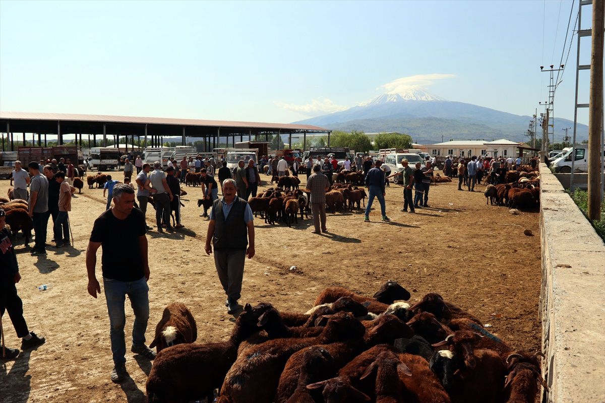 Doğu Anadolu'da Kurbanlık Pazarlarında Arife Yoğunluğu