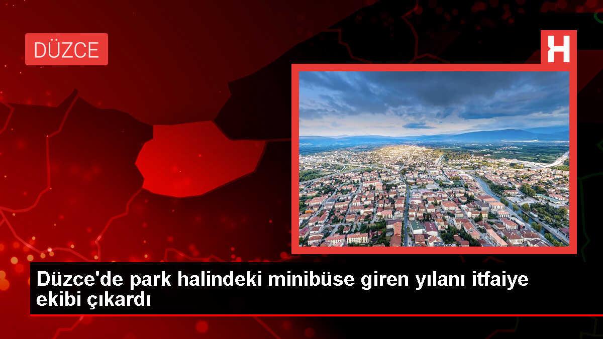 Düzce'de park halindeki minibüse giren yılan doğaya salındı