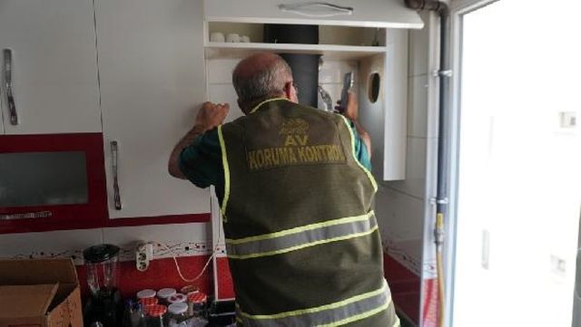 Tadilat sırasında mutfak havalandırmasında kuş yuvası buldular, asıl şoku türünü öğrenince yaşadılar