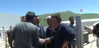 Erzurum Hayvan Pazarında Kurbanlık Hareketliliği