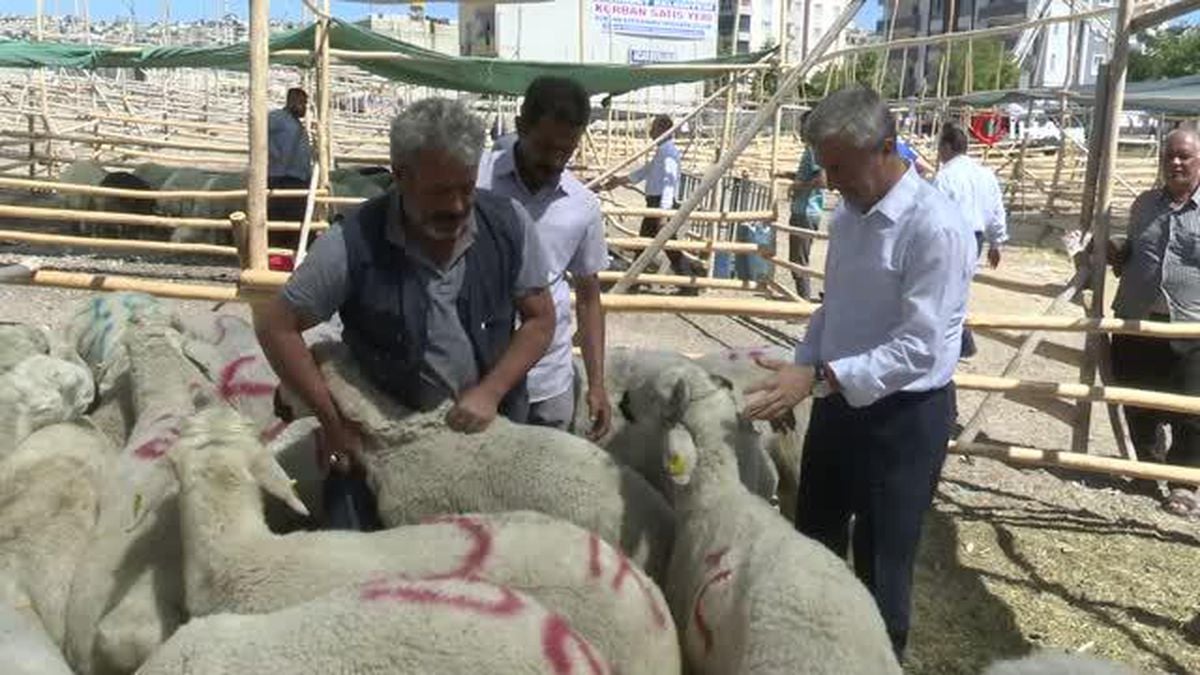 Şahinbey'de kurban satış ve kesim yerleri belirlendi