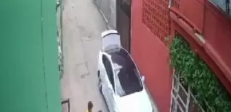 Kurbanlık koyun kaçtı