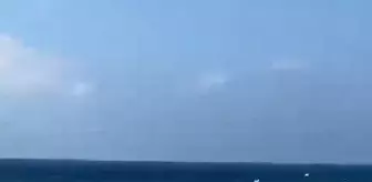 Kurbanlık Koyun Lara Plajı'na Kaçtı