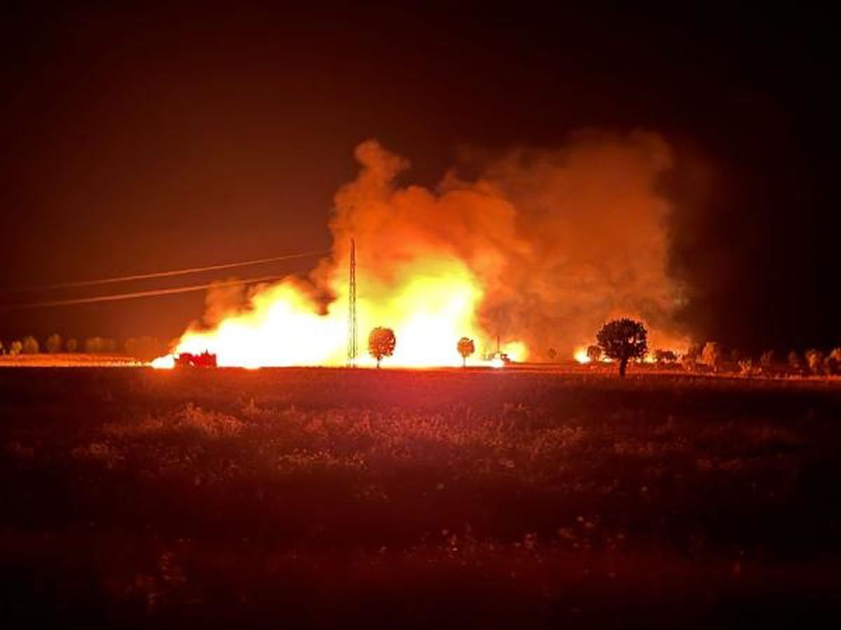 Diyarbakır Hani ilçesinde çıkan yangında 400 dönüm ekili alan zarar gördü