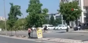 İzmir'de kurbanlık danalar kaçtı, sahipleri kovaladı