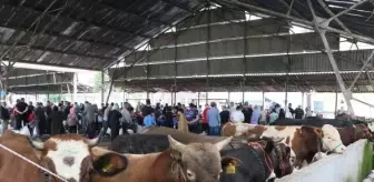 Samsun'da Kurban Bayramı'nda Yoğunluk Oluştu