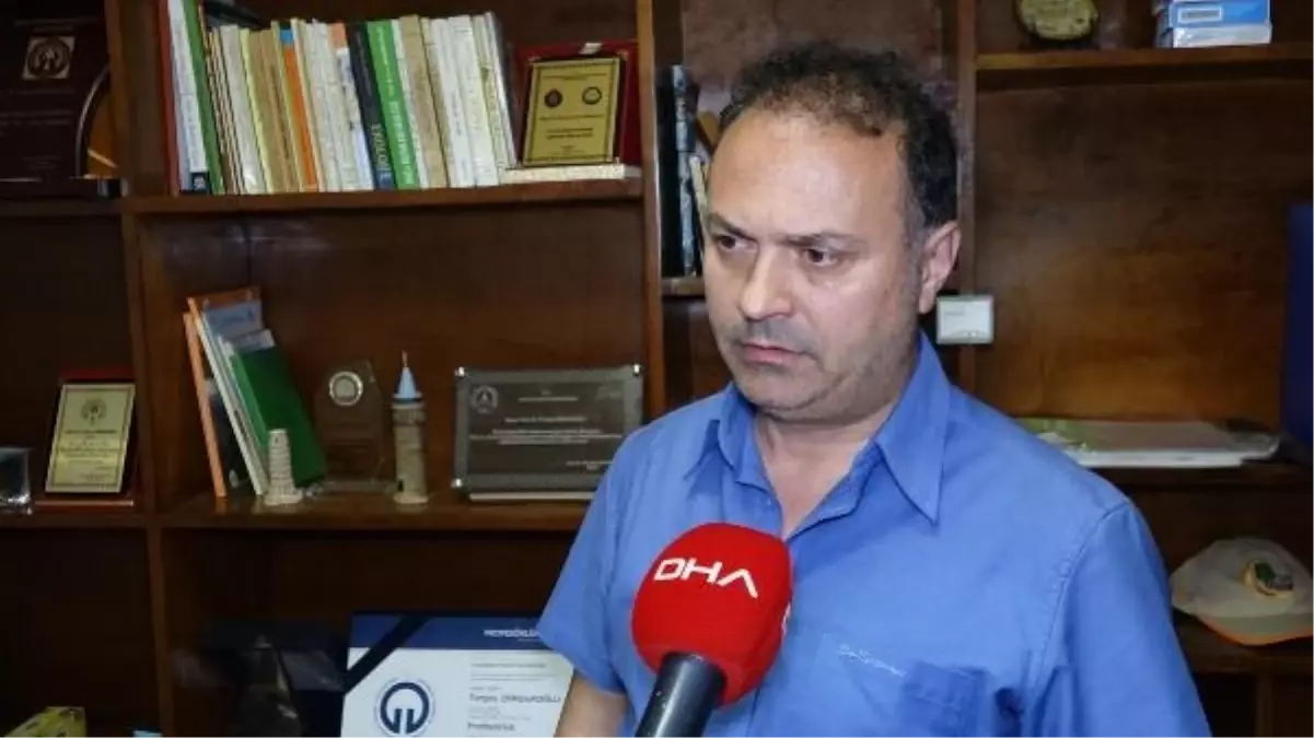 Uzungöl'de Hava Kalitesi Tehlike Altında