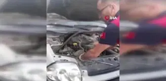 Araca giren yılan güçlükle çıkarıldı