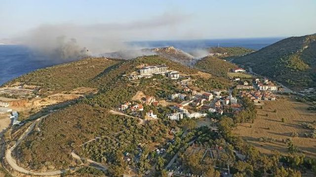 Muğla'nın Datça ilçesinde ormanlık alanda yangın Muğla'nın Datça ilçesinde ormanlık alanda yangın