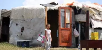 Meslekleri zamana yenilen Romanlar, çadırlarda kalıp mevsimlik işçilik yapıyor