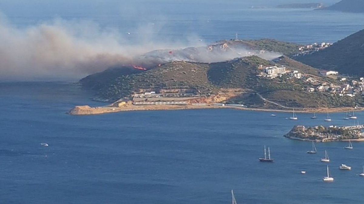 Muğla'nın Datça ilçesinde ormanlık alanda yangın