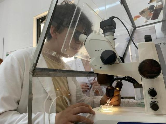 Rize yaylalarında kardan 'mikroplastik' çıktı