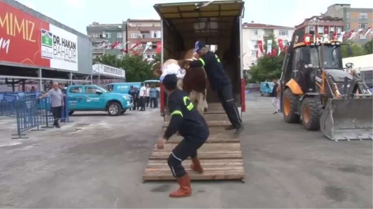 Kurban keserken dikkat... Avukat İbrahim Yavuzyaşar: 'Hayvana eziyet etmenin cezası 6 ay ila 3 yıl'