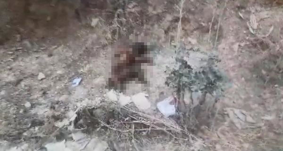 Bursa'da Yakılan Köpeğin Şüphelileri Aranıyor