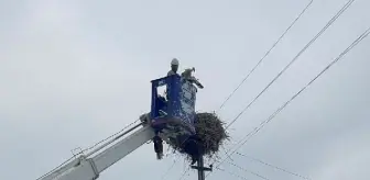 Açlıktan bitkin düşen yavru leylek kurtarıldı